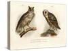 Horned Owl, 1864-null-Stretched Canvas