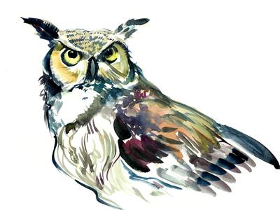 https://imgc.allpostersimages.com/img/posters/horned-owl-3_u-L-F9JRJT0.jpg?artPerspective=n