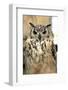 Horned Owl-Gripfast-Framed Photographic Print