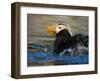 Horned Puffin, Alaska-Charles Glover-Framed Giclee Print