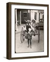 Horned Rickshaw Man in Bulawayo Southern Rhodesia-null-Framed Art Print
