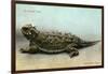 Horned Toad, Fort Davis-null-Framed Art Print