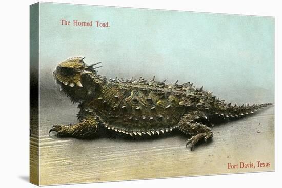 Horned Toad, Fort Davis-null-Stretched Canvas