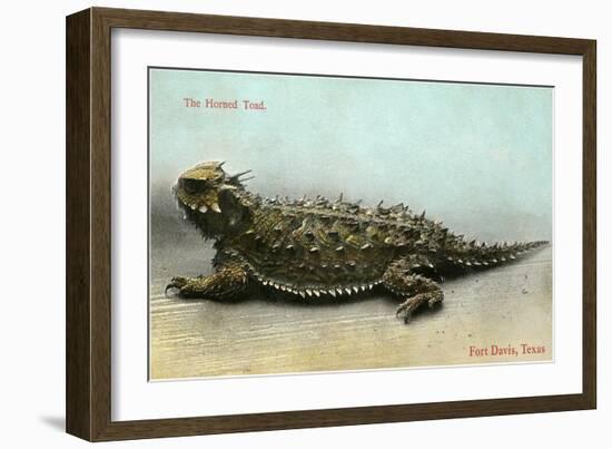 Horned Toad, Fort Davis-null-Framed Premium Giclee Print