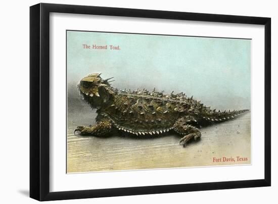 Horned Toad, Fort Davis-null-Framed Art Print