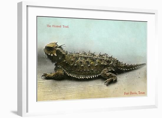 Horned Toad, Fort Davis-null-Framed Art Print