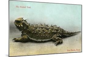 Horned Toad, Fort Davis-null-Mounted Art Print