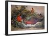 Horned Tragopan, 1861-Joseph Wolf-Framed Giclee Print