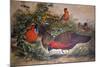 Horned Tragopan, 1861-Joseph Wolf-Mounted Giclee Print