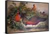 Horned Tragopan, 1861-Joseph Wolf-Framed Stretched Canvas