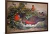 Horned Tragopan, 1861-Joseph Wolf-Framed Giclee Print