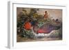 Horned Tragopan, 1861-Joseph Wolf-Framed Giclee Print