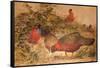 Horned Tragopan (Ceriornis Satyra), C.1851-76-Joseph Wolf-Framed Stretched Canvas