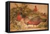 Horned Tragopan (Ceriornis Satyra), C.1851-76-Joseph Wolf-Framed Stretched Canvas