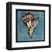 Horned Whelk-John Golden-Framed Giclee Print