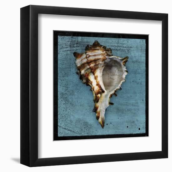 Horned Whelk-John Golden-Framed Giclee Print