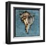 Horned Whelk-John Golden-Framed Giclee Print