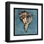 Horned Whelk-John W^ Golden-Framed Art Print