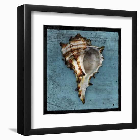 Horned Whelk-John W^ Golden-Framed Art Print