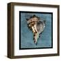 Horned Whelk-John W^ Golden-Framed Art Print