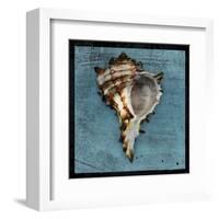 Horned Whelk-John W^ Golden-Framed Art Print