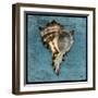 Horned Whelk-John W Golden-Framed Giclee Print