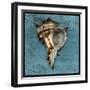 Horned Whelk-John W Golden-Framed Giclee Print