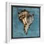 Horned Whelk-John W Golden-Framed Giclee Print