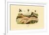 Hornet, 1833-39-null-Framed Giclee Print