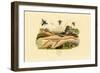 Hornet, 1833-39-null-Framed Giclee Print