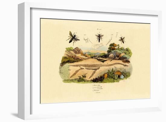 Hornet, 1833-39-null-Framed Giclee Print