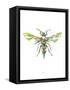 Hornet-Alexis Marcou-Framed Stretched Canvas