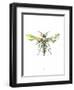 Hornet-Alexis Marcou-Framed Art Print