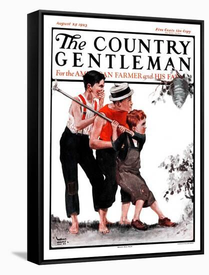 "Hornets' Nest," Country Gentleman Cover, August 25, 1923-WM. Hoople-Framed Stretched Canvas
