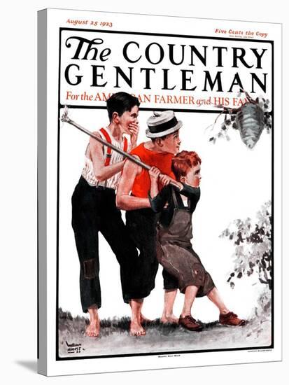 "Hornets' Nest," Country Gentleman Cover, August 25, 1923-WM. Hoople-Stretched Canvas