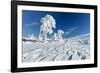 Hornisgrinde mountain in winter, Black Forest, Baden Wurttemberg, Germany, Europe-Markus Lange-Framed Photographic Print