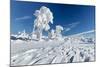 Hornisgrinde mountain in winter, Black Forest, Baden Wurttemberg, Germany, Europe-Markus Lange-Mounted Photographic Print