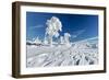 Hornisgrinde mountain in winter, Black Forest, Baden Wurttemberg, Germany, Europe-Markus Lange-Framed Photographic Print