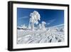 Hornisgrinde mountain in winter, Black Forest, Baden Wurttemberg, Germany, Europe-Markus Lange-Framed Photographic Print