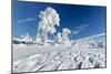 Hornisgrinde mountain in winter, Black Forest, Baden Wurttemberg, Germany, Europe-Markus Lange-Mounted Photographic Print