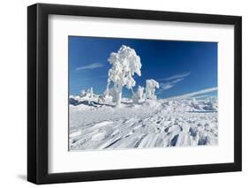 Hornisgrinde mountain in winter, Black Forest, Baden Wurttemberg, Germany, Europe-Markus Lange-Framed Photographic Print