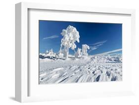 Hornisgrinde mountain in winter, Black Forest, Baden Wurttemberg, Germany, Europe-Markus Lange-Framed Photographic Print