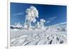 Hornisgrinde mountain in winter, Black Forest, Baden Wurttemberg, Germany, Europe-Markus Lange-Framed Photographic Print