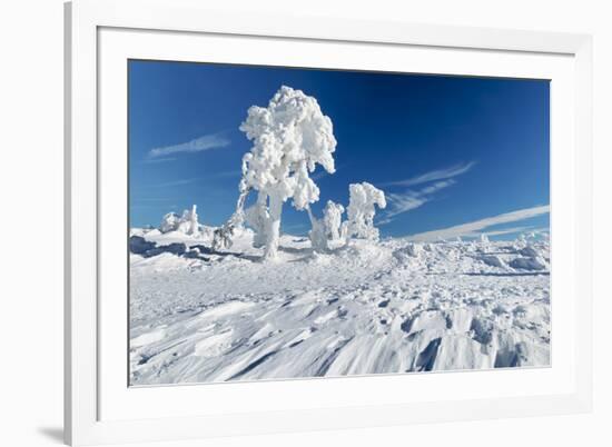 Hornisgrinde mountain in winter, Black Forest, Baden Wurttemberg, Germany, Europe-Markus Lange-Framed Photographic Print