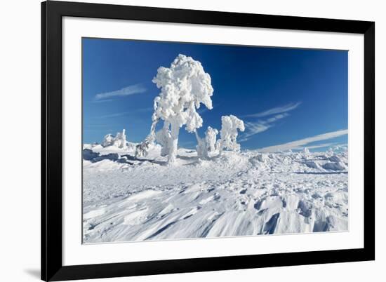 Hornisgrinde mountain in winter, Black Forest, Baden Wurttemberg, Germany, Europe-Markus Lange-Framed Photographic Print
