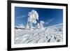 Hornisgrinde mountain in winter, Black Forest, Baden Wurttemberg, Germany, Europe-Markus Lange-Framed Photographic Print