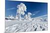 Hornisgrinde mountain in winter, Black Forest, Baden Wurttemberg, Germany, Europe-Markus Lange-Mounted Photographic Print