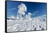 Hornisgrinde mountain in winter, Black Forest, Baden Wurttemberg, Germany, Europe-Markus Lange-Framed Stretched Canvas