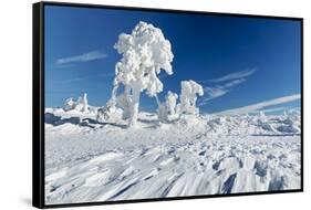 Hornisgrinde mountain in winter, Black Forest, Baden Wurttemberg, Germany, Europe-Markus Lange-Framed Stretched Canvas