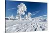 Hornisgrinde mountain in winter, Black Forest, Baden Wurttemberg, Germany, Europe-Markus Lange-Stretched Canvas